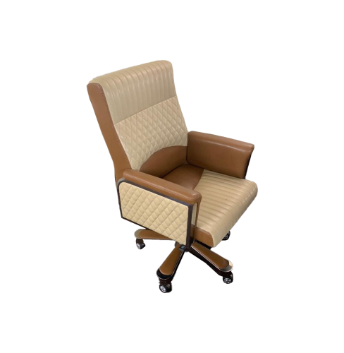 Director Chair